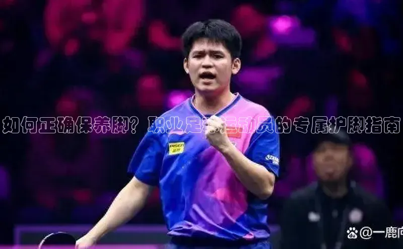 熊猫体育在线直播app滴滴出行