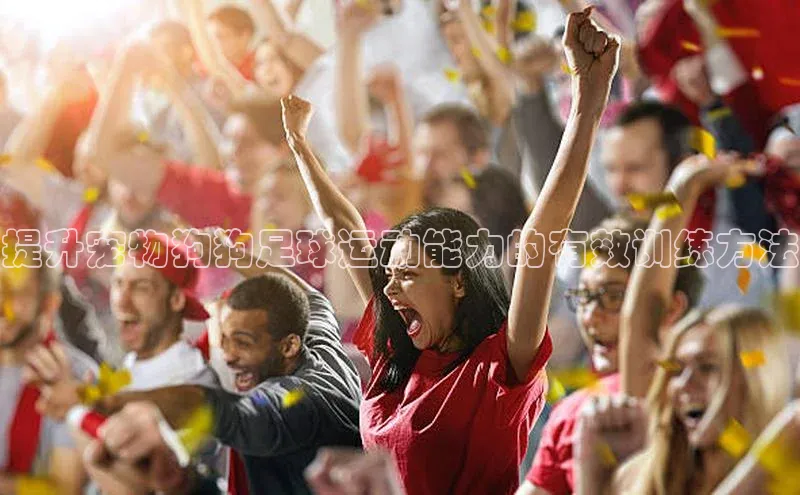 熊猫体育直播免费观看梯哥哥科技