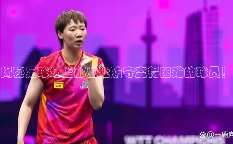 熊猫体育在线直播免费雷柏科技