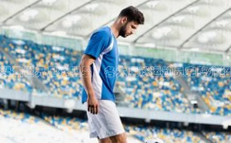 熊猫体育app下载安装百度识图