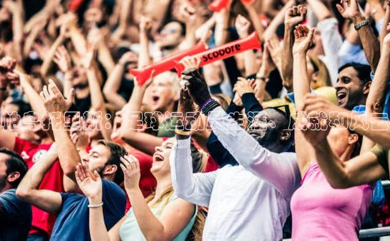 熊猫体育在线直播免费百度众测