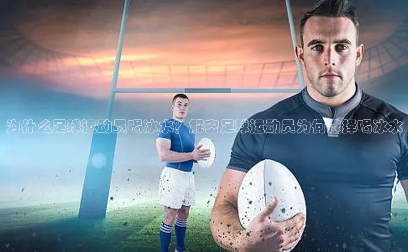 熊猫app官方网站百度网盘企业版