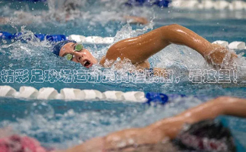 熊猫app下载文心一言