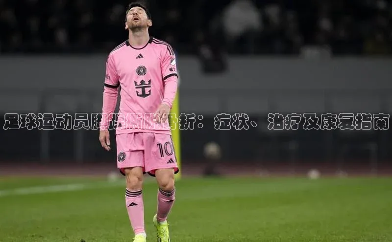 熊猫体育app官网路畅科技