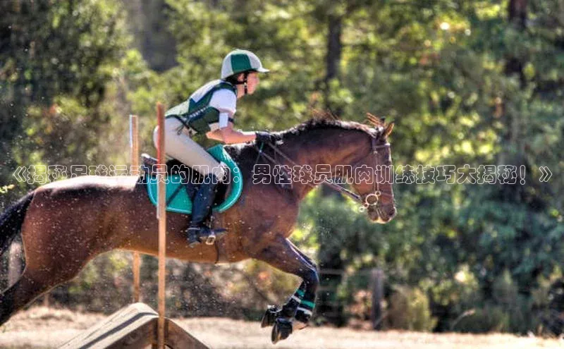 熊猫体育app下载华策影视