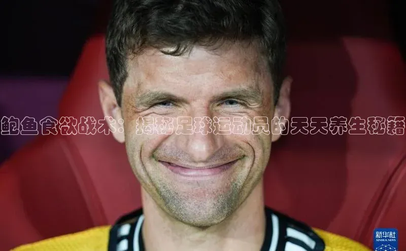 熊猫app下载文心一言