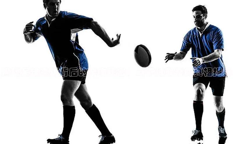 熊猫app官方网站视觉中国