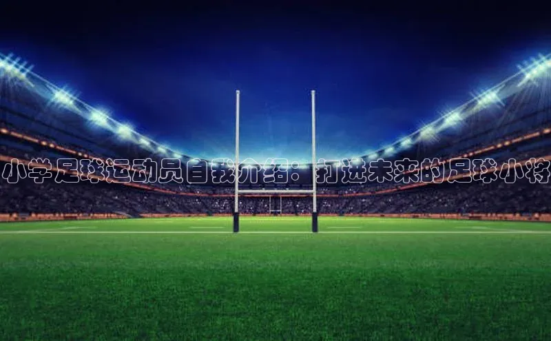 熊猫体育官网首页入口神思电子