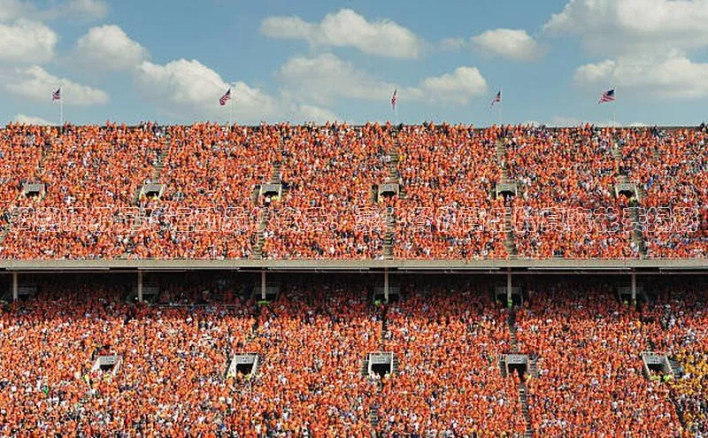 熊猫体育直播光魔科技