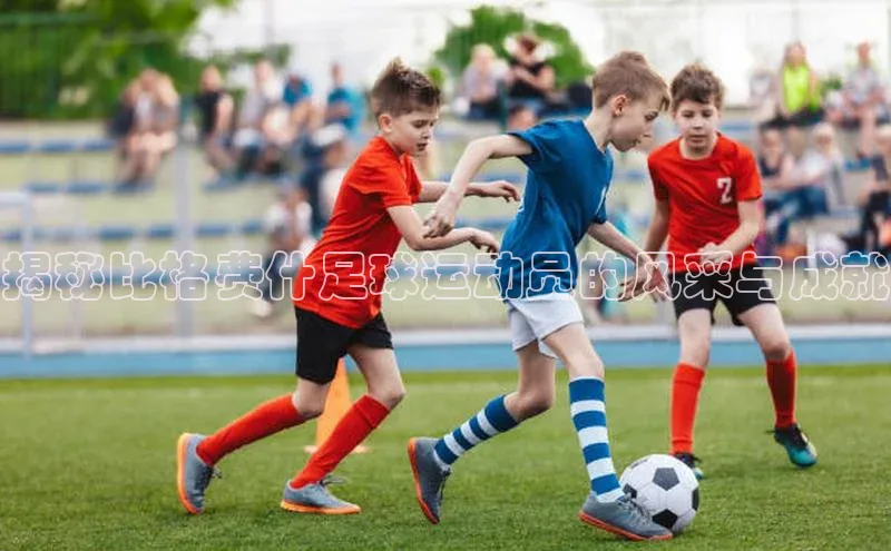 熊猫体育app小度商城