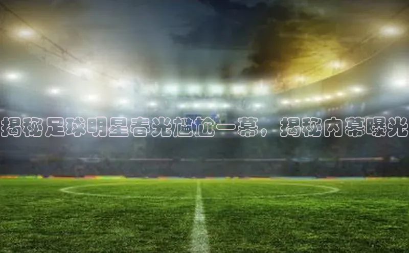 熊猫体育足球直播app阿里尔公司