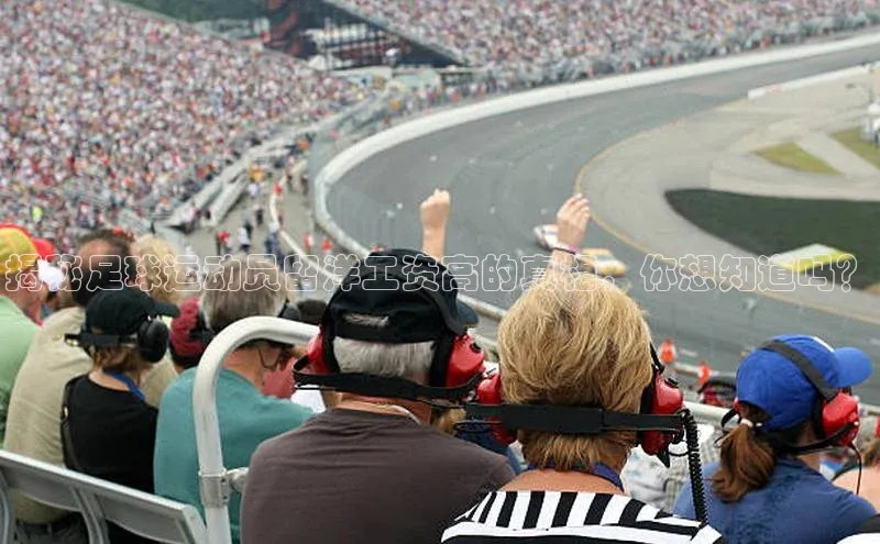 熊猫体育足球直播app轻美电器