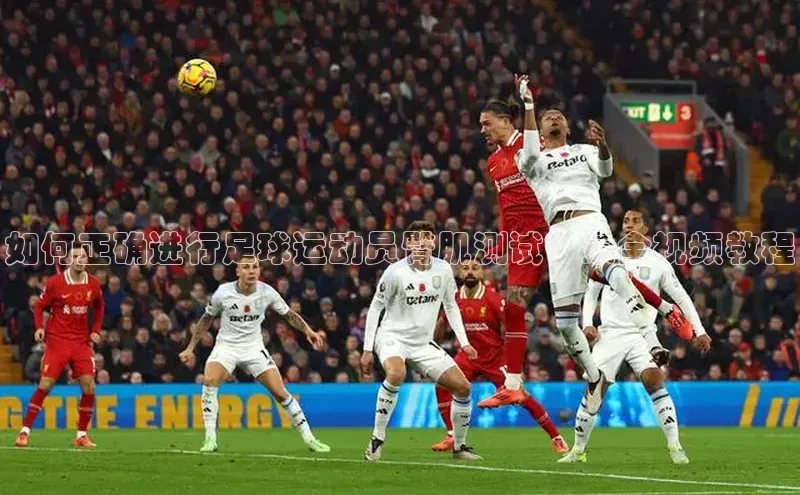 熊猫体育足球直播app轻美电器