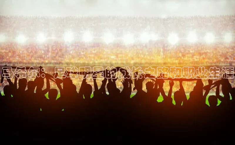 熊猫体育足球直播app阿里尔公司