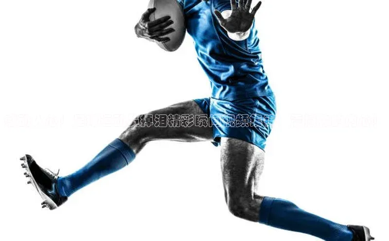 熊猫体育在线直播免费雷柏科技