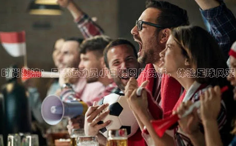 熊猫体育app安装入口京东