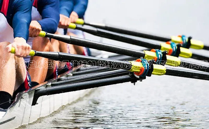 熊猫app下载文心一言