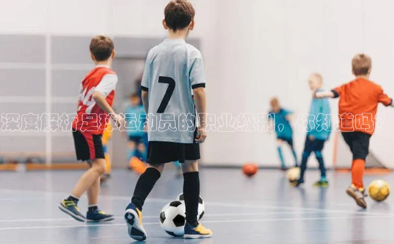 熊猫体育入口百度信誉