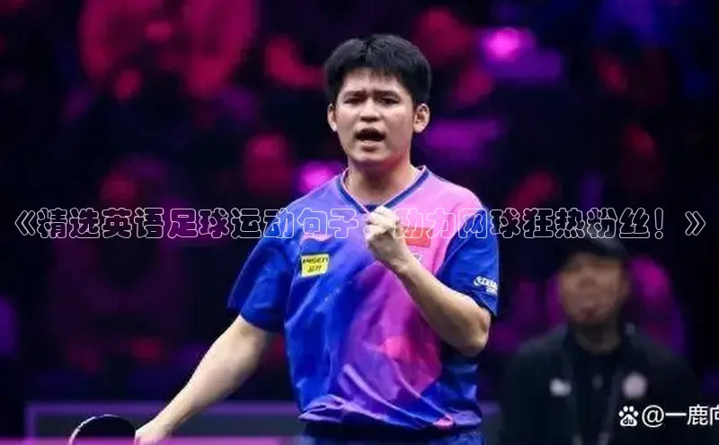 熊猫足球直播免费观看小米