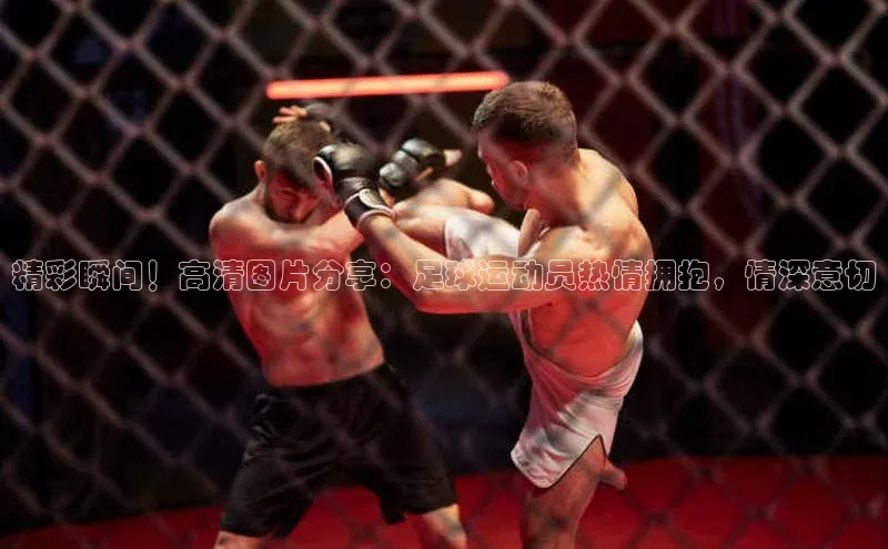 熊猫体育挪威主权基金