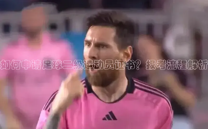 熊猫体育app下载安装百度数据开放平台