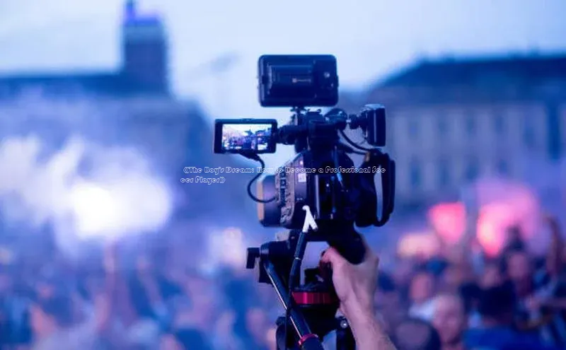 熊猫体育直播免费观看百度健康