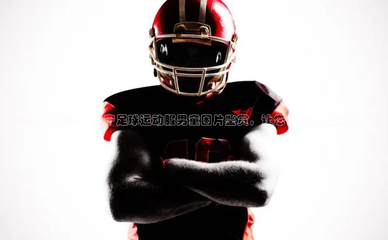 熊猫体育app安装入口京东