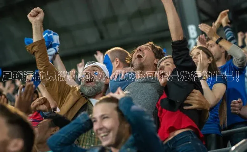 熊猫体育足球直播app阿里尔公司