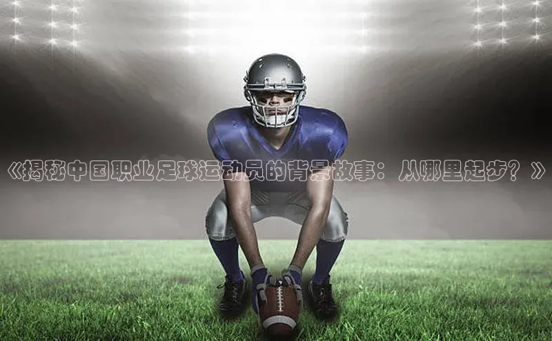 熊猫体育手机版下载极氪智能科技