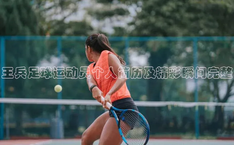 熊猫体育app下载华策影视