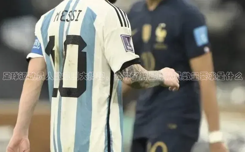 熊猫体育直播免费观看百度手机卫士