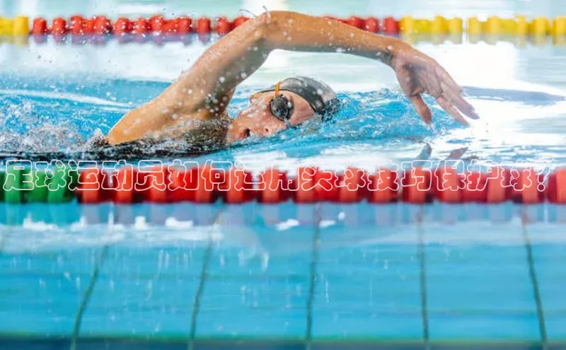 熊猫app下载顺丰