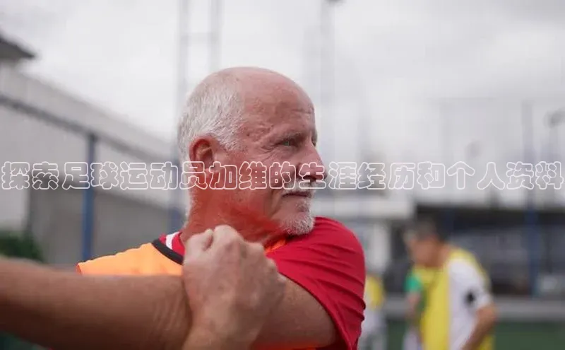 熊猫app官方网站百度网盘企业版