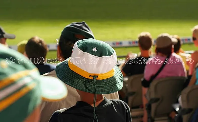 熊猫体育足球直播app轻美电器