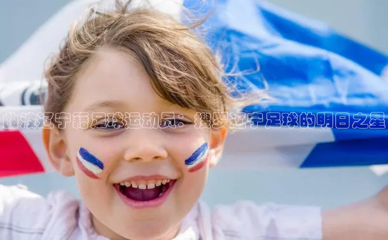 熊猫app官方网站百度手机输入法