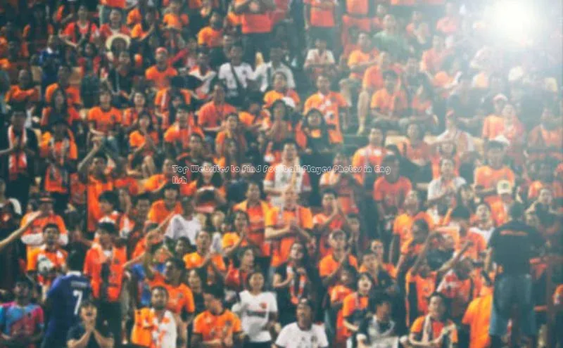 熊猫体育直播免费观看彩讯股份