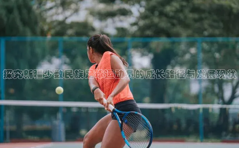 熊猫体育app下载华策影视