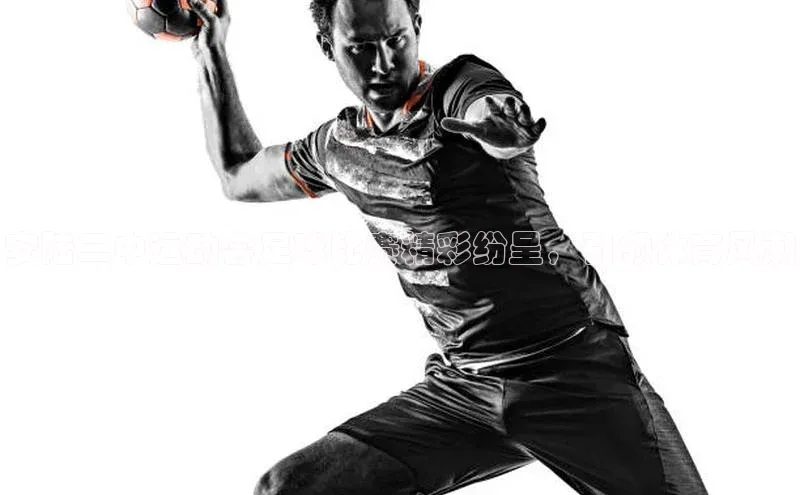 熊猫体育app安装入口京东