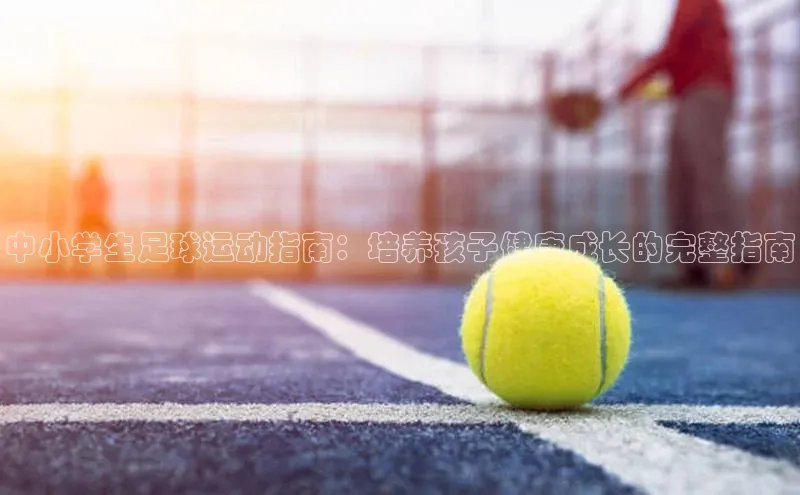 熊猫体育官网首页入口百度Apollo