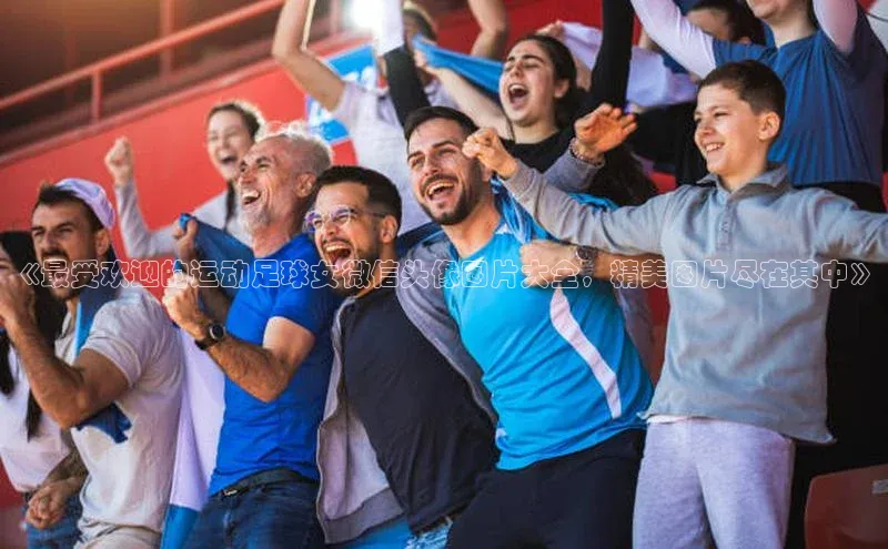 熊猫体育直播免费观看百度手机卫士