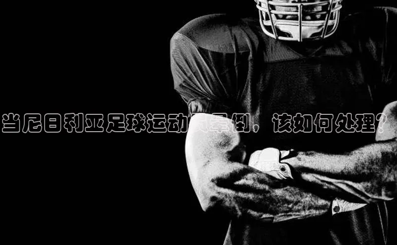 熊猫app下载顺丰