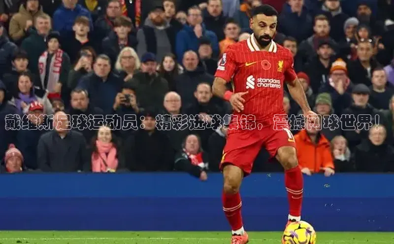 熊猫体育在线直播app百度人工翻译