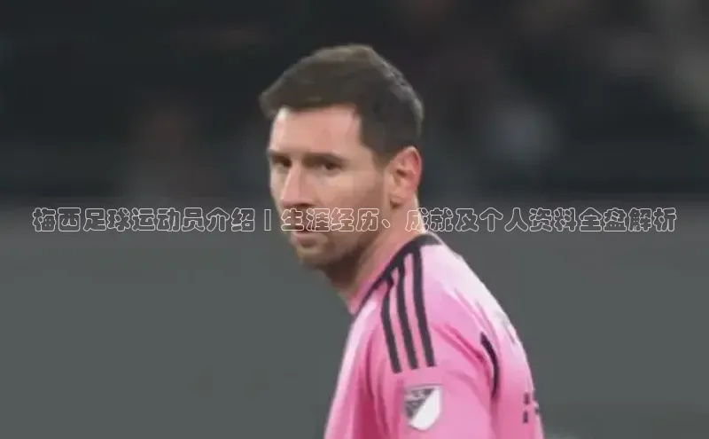 熊猫体育app安装入口京东