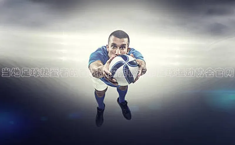 熊猫体育app安装入口京东