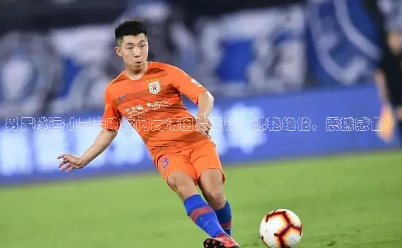 熊猫体育app安装入口京东