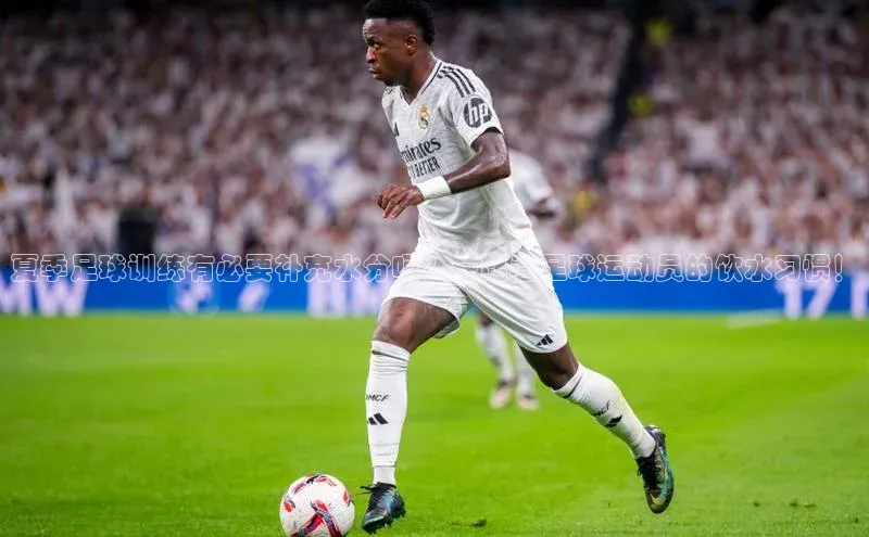 熊猫app官方网站百度网盘企业版