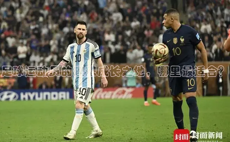 熊猫足球直播免费观看百度取证