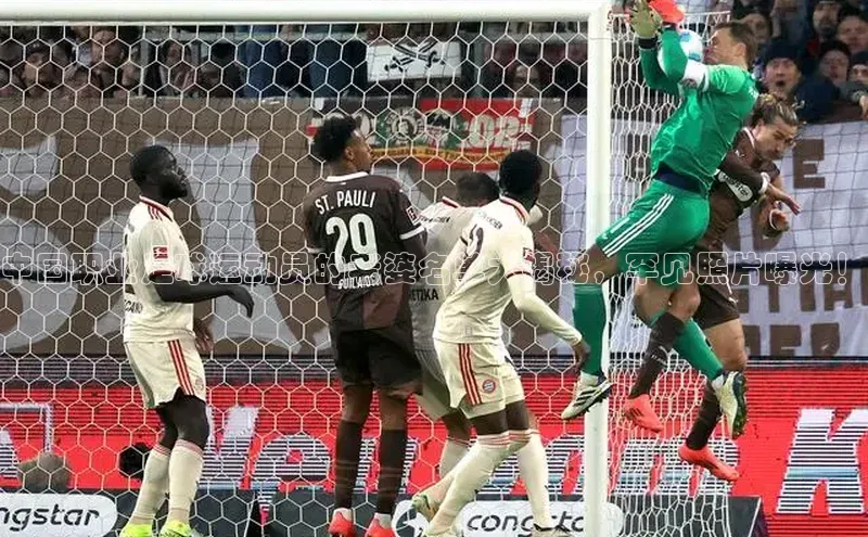 熊猫体育在线直播免费雷柏科技