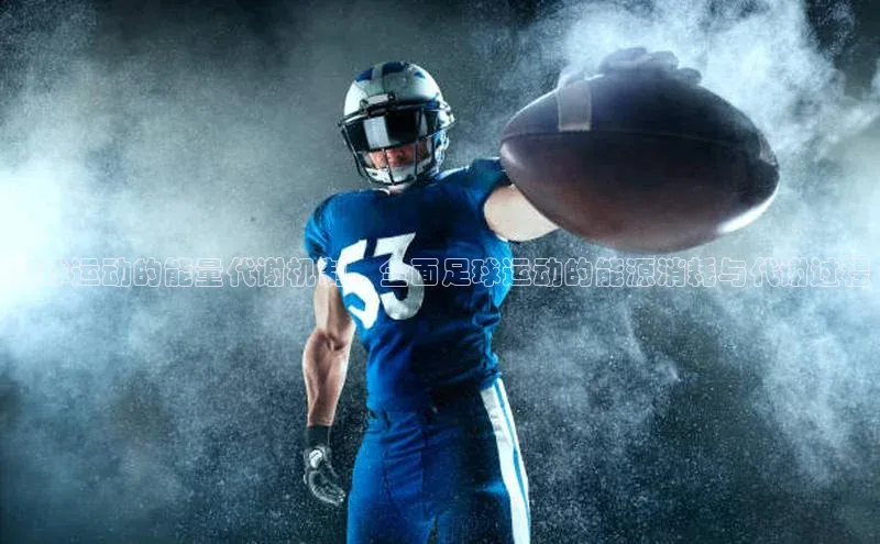 熊猫体育国足直播百度教育