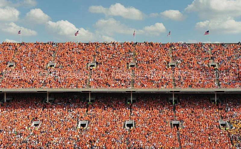 熊猫体育直播免费足球华扬联众